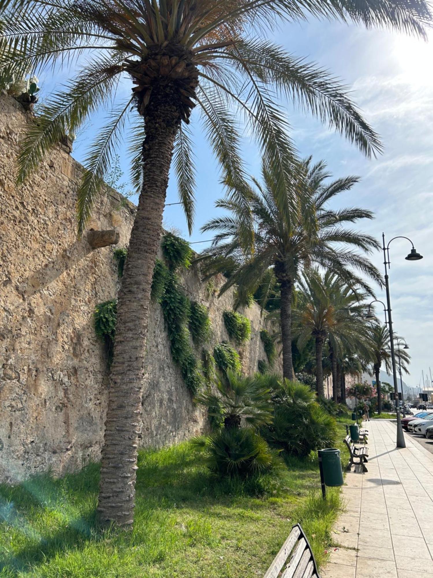 Galli Beach House Sicily Apartment Trapani Bagian luar foto